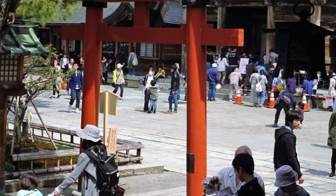 白山神社風物誌（茅の輪のくぐり）