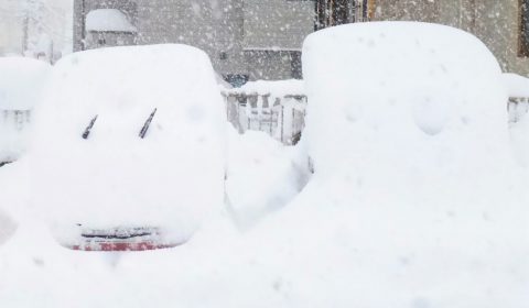 新潟市、豪雪警報発令中