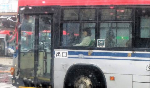 春の雨は優しい