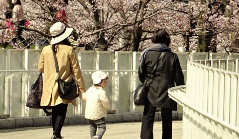 さくら、今年は早かった。