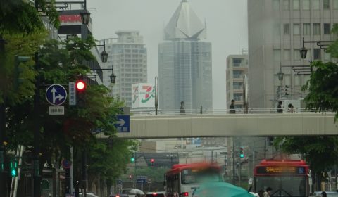 鬱陶しい雨