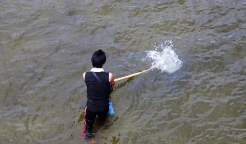 新潟の自採自消（夏のシジミ採り）