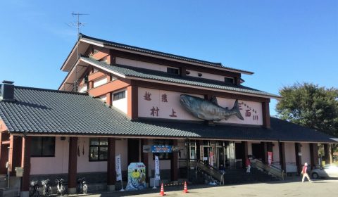 村上の鮭、イヨボヤ会館顛末記