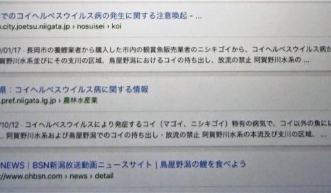 だから、不思議？