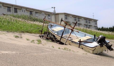 汐見台　イノシシの足跡探し