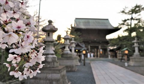 白山神社風物誌（燈ともし）露店屋台中止に