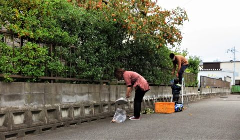 秋の恵み送ります