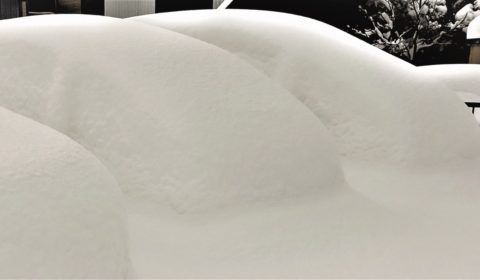 新潟市の雪害