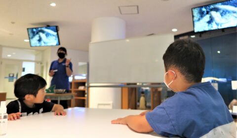 楽しいイワシの解剖と中村八百屋（マリンピア日本海）